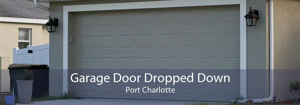Garage Door Dropped Down Port Charlotte