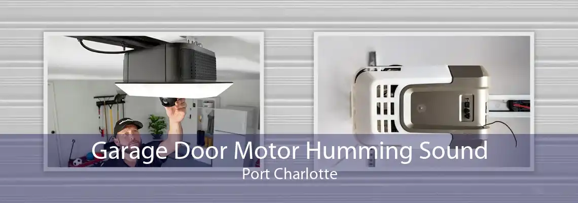 Garage Door Motor Humming Sound Port Charlotte